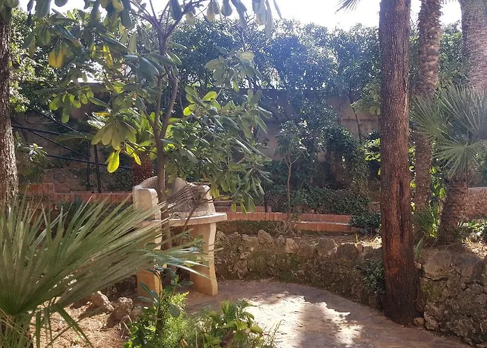 Il Boschetto 4* San Vincenzo