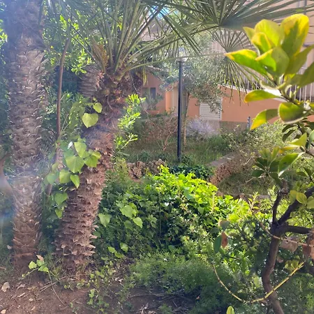 Il Boschetto San Vincenzo