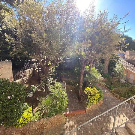 Il Boschetto San Vincenzo